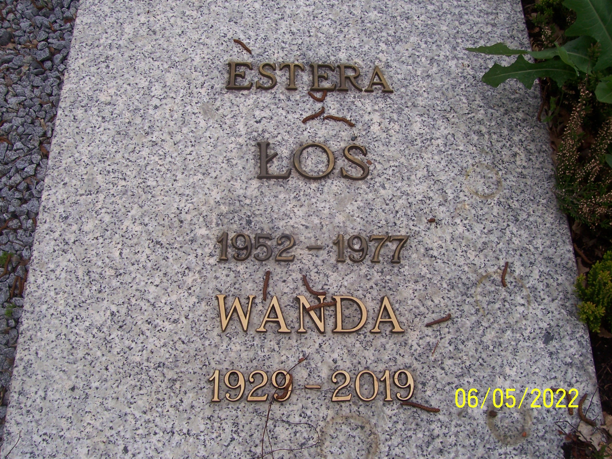 Grób Wanda Łoś