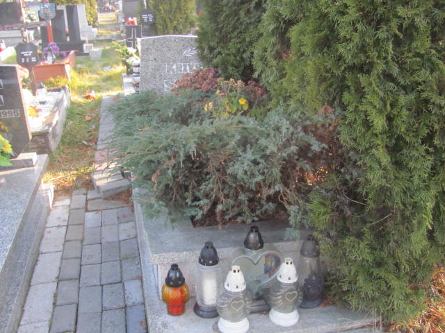 Grób Krzysztof Stelmach