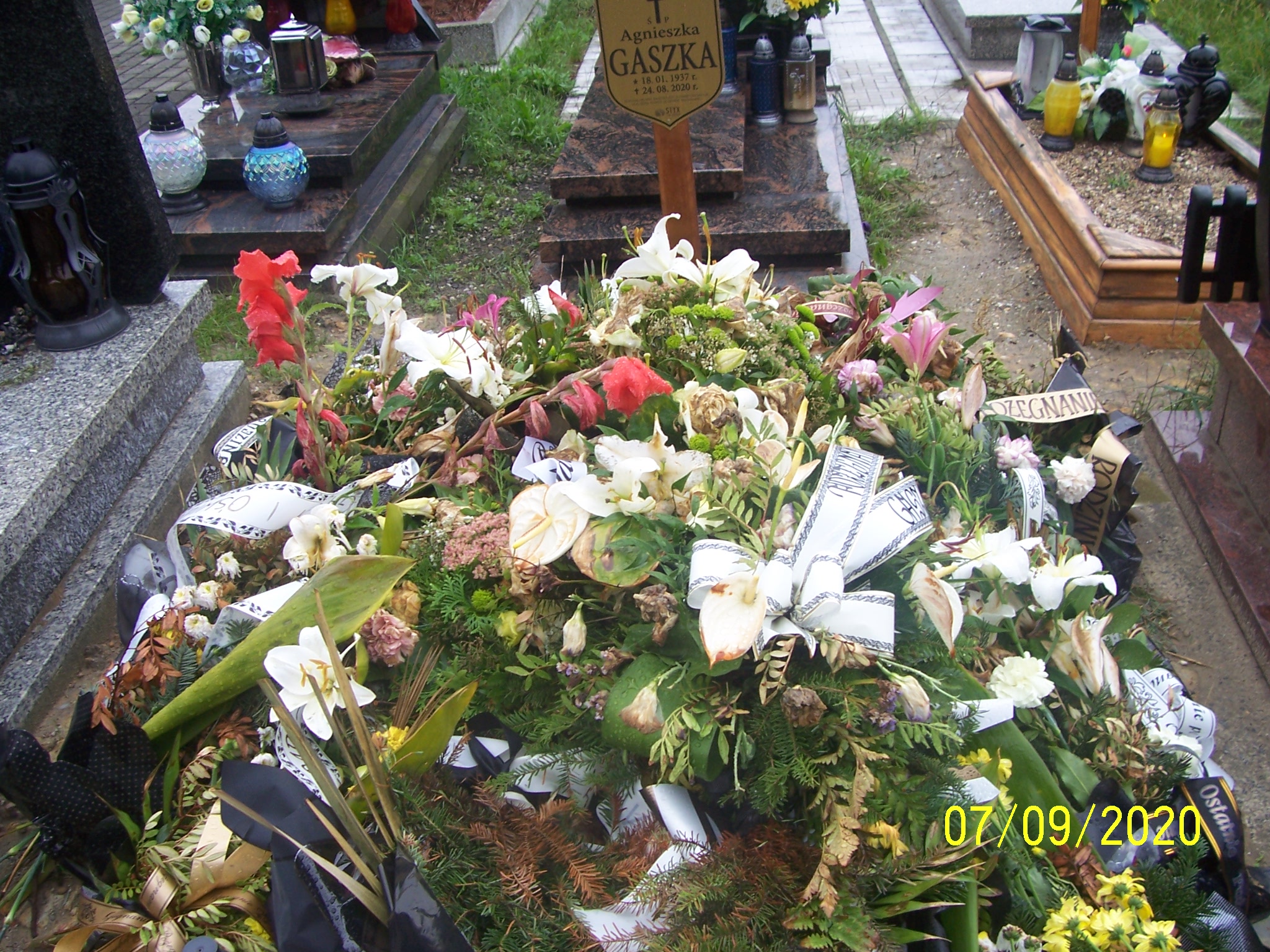 Grób Andrzej Główka