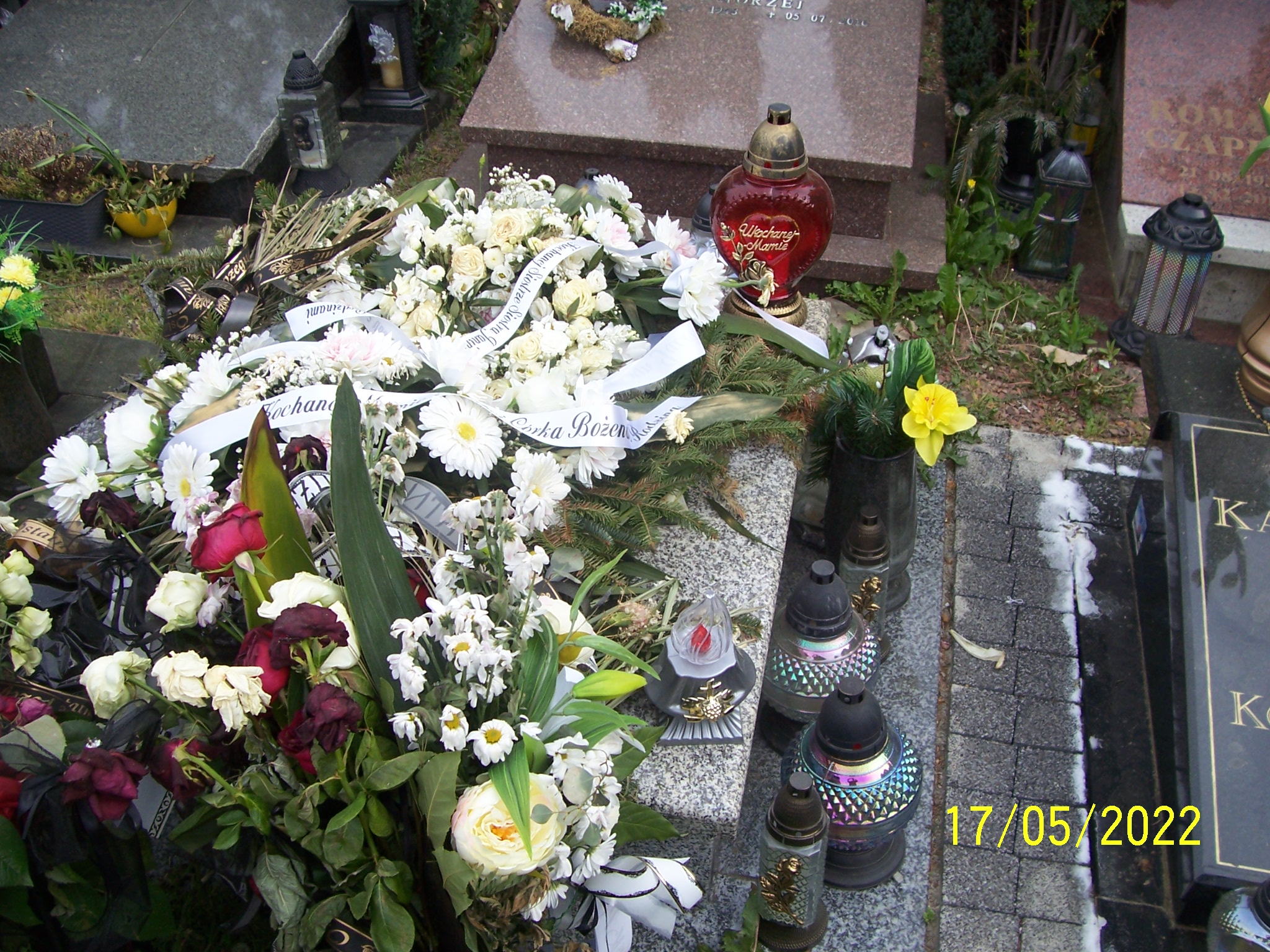 Grób Bronisław Kristof
