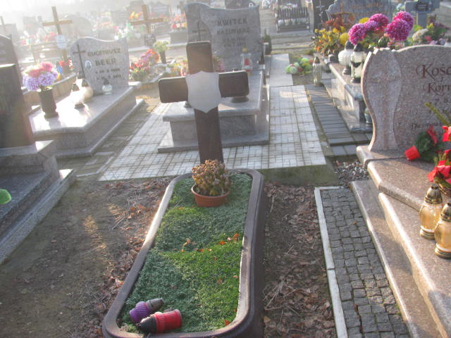 Grób Henryk Wardziński