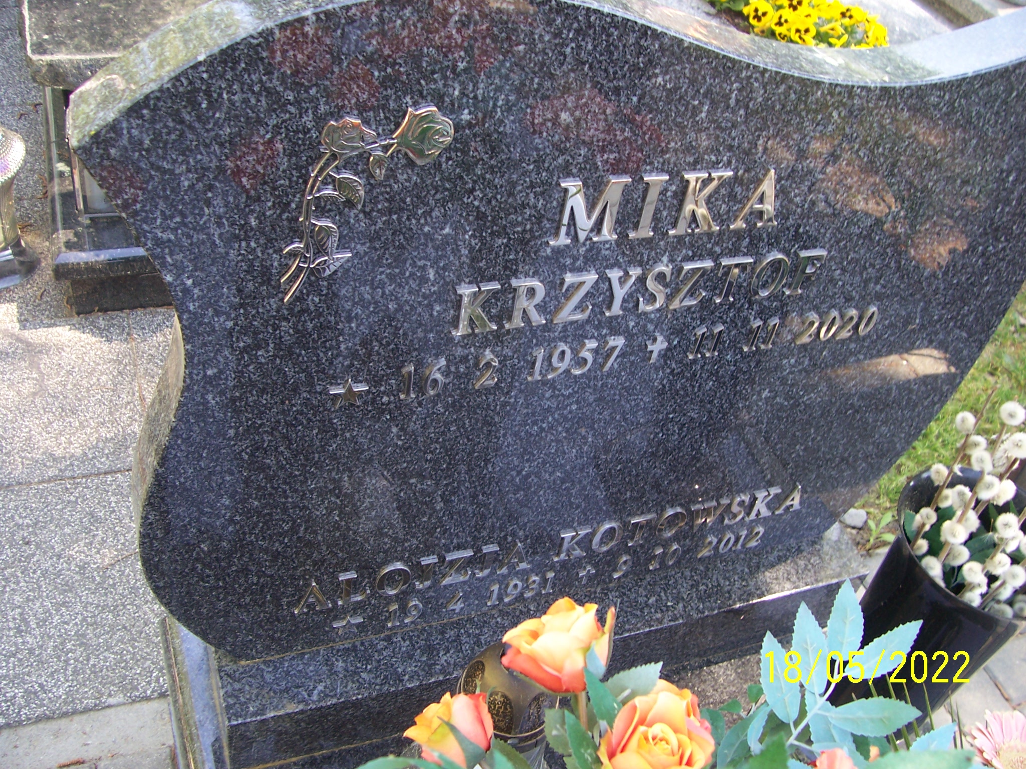 Grób Alojzja Kotowska