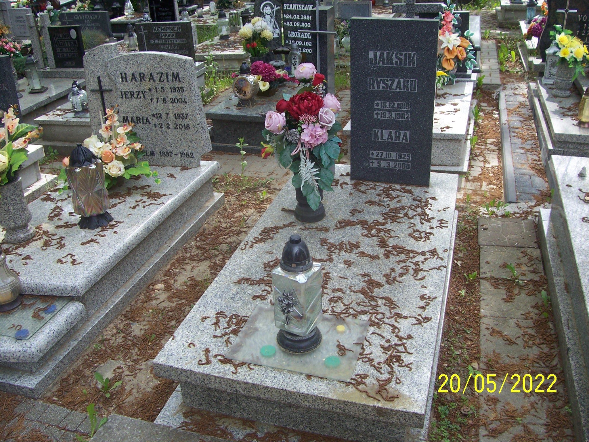 Grób Klara Jaksik