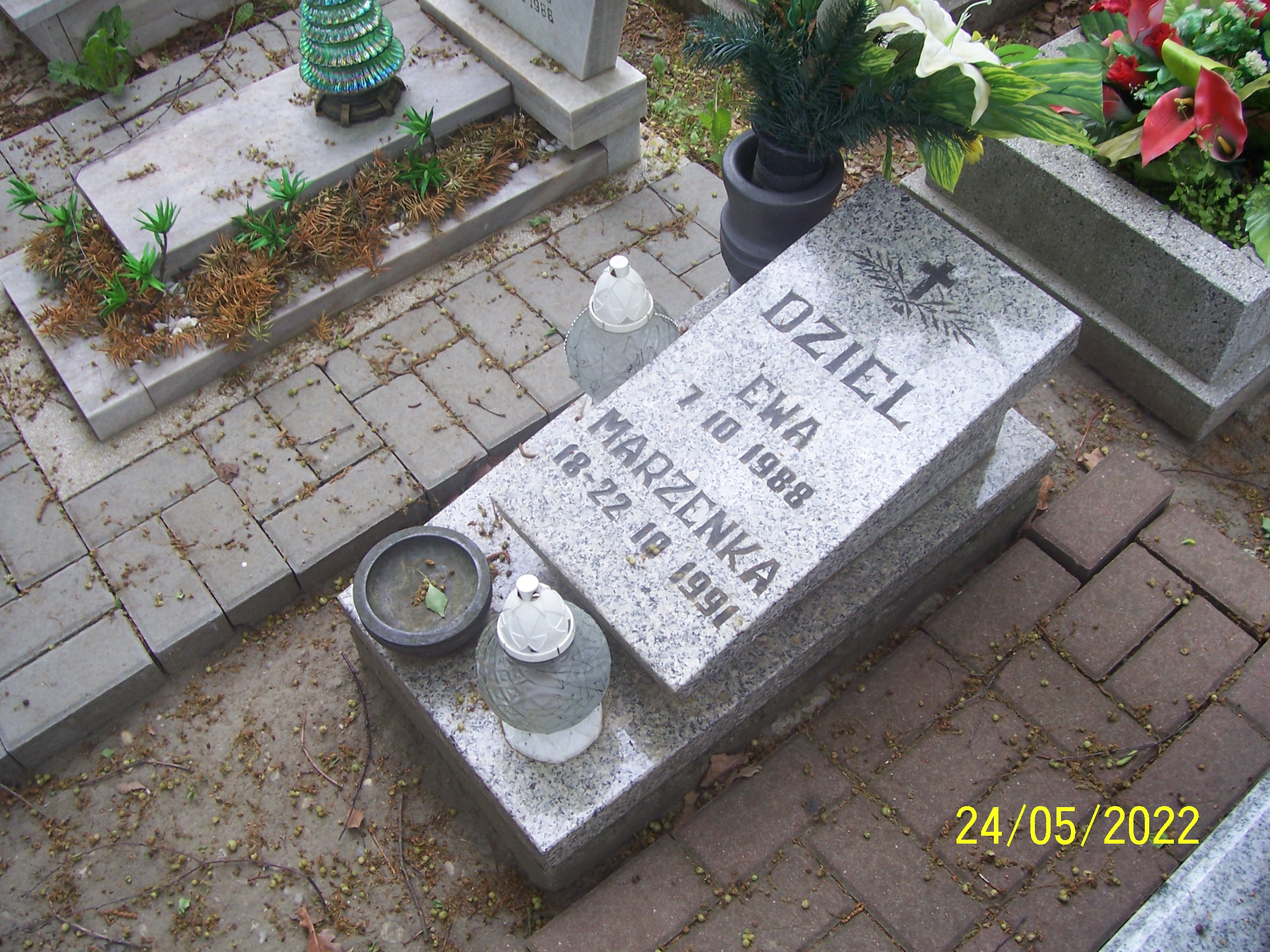Grób Marzena Dziel