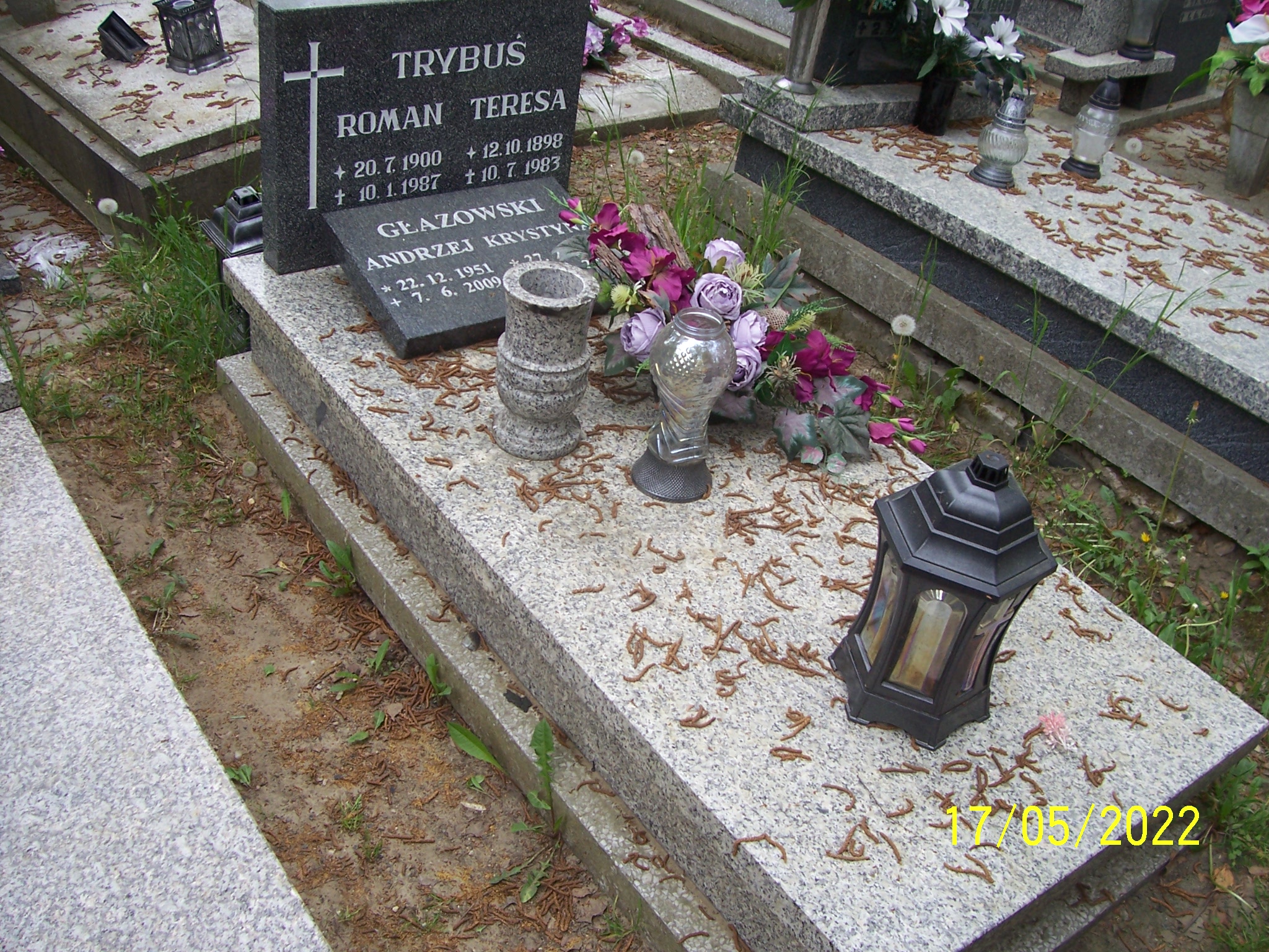 Grób Andrzej Głazowski