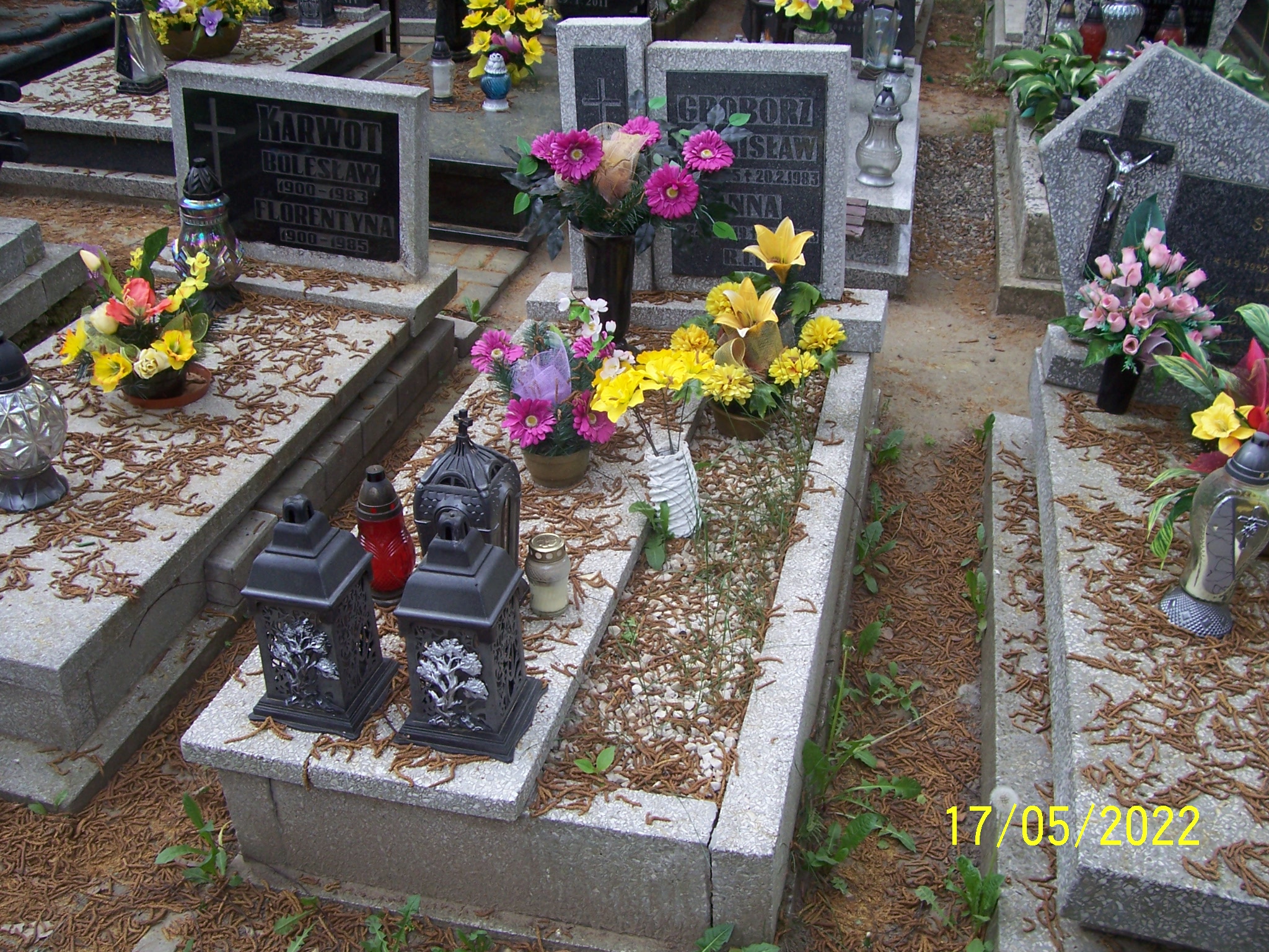 Grób Anna Groborz