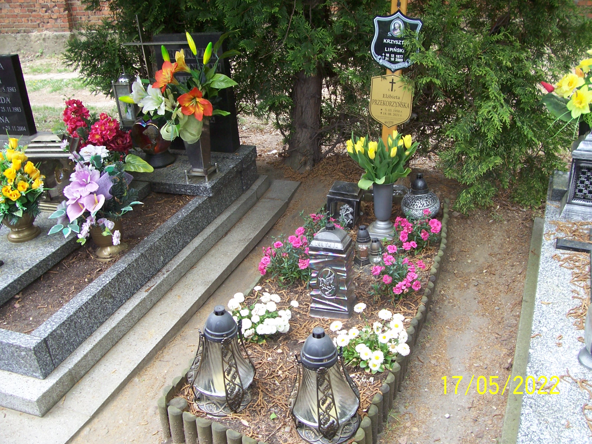 Grób Elżbieta Przekorzyńska