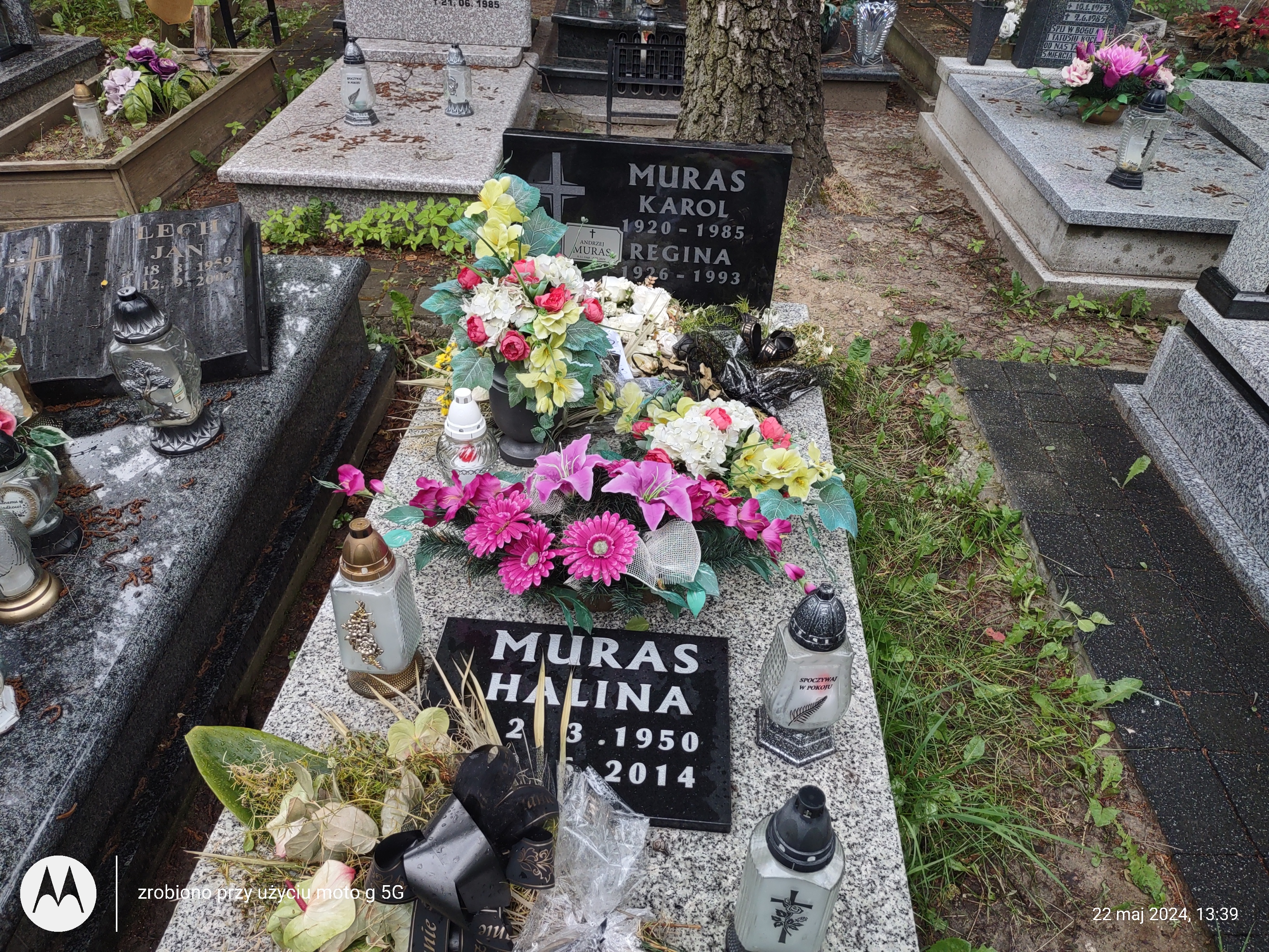 Grób Regina Muras