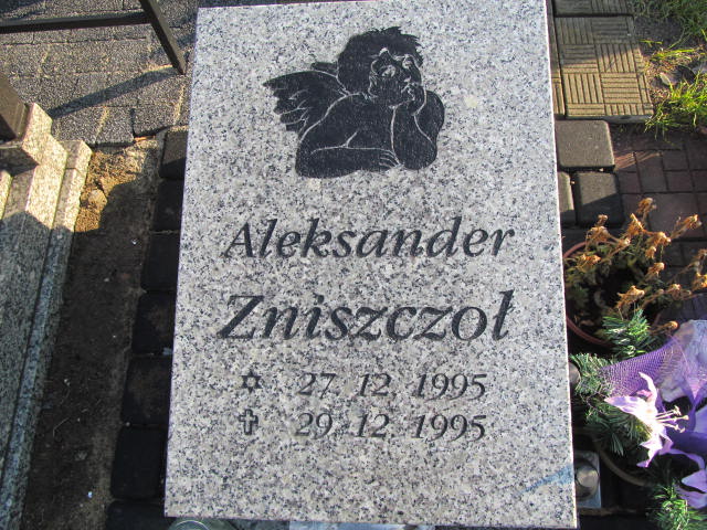 Aleksander Zniszczoł 1995 Rybnik - Grobonet - Wyszukiwarka osób pochowanych