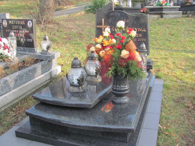 Grób Franciszek Świerczyna