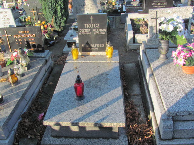 Grób Alfred Tkocz