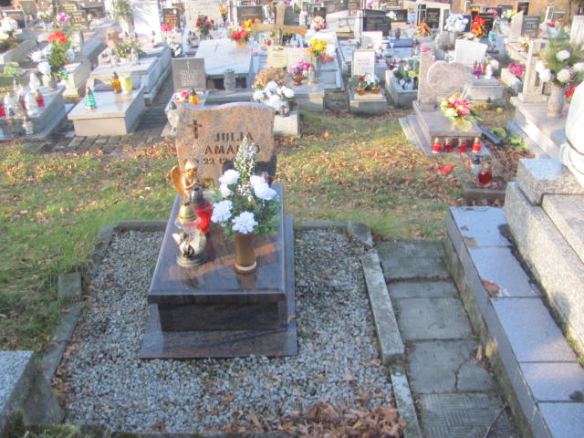 Grób Julia Amalio